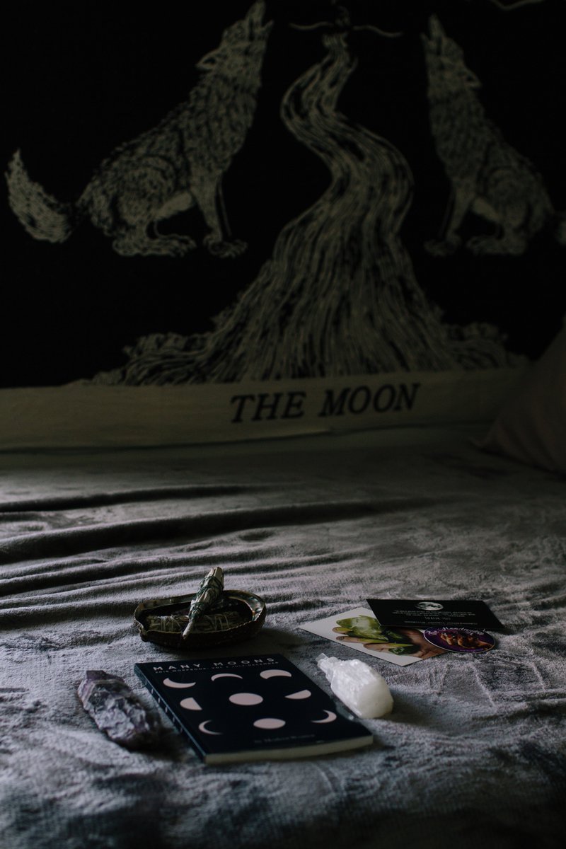mossmem0ry's tweet photo. Finally got my hands on a Many Moons workbook, my angel devon rex is excited for it too. Courtesy of @Thathoodwitch https://t.co/D7RfInrnfl