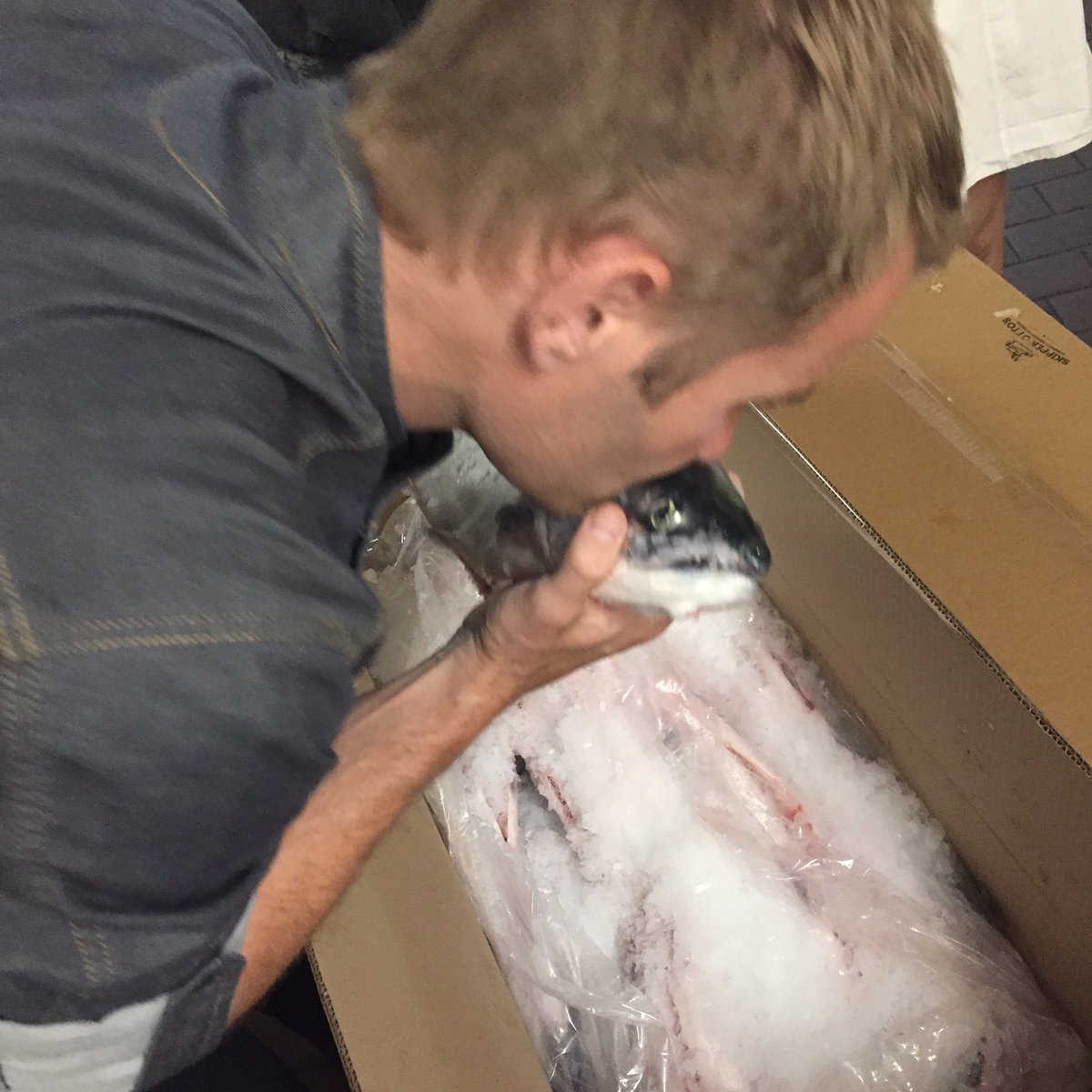 Chefs For Oceans tweet media