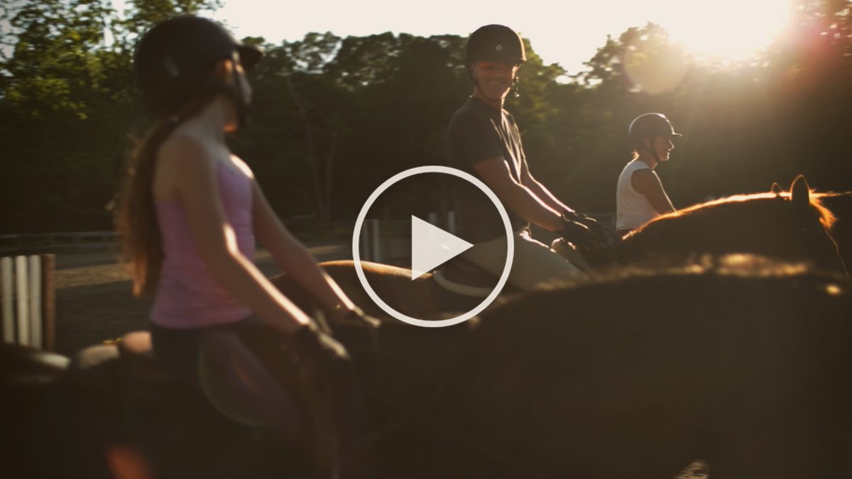 ContentMechanic's tweet photo. Happy #FathersDay from all of us! https://t.co/6lowV9pWEg #SummitFarm #horses #AdAgency #marketing #advertising #dad https://t.co/EmE7C5xNNG