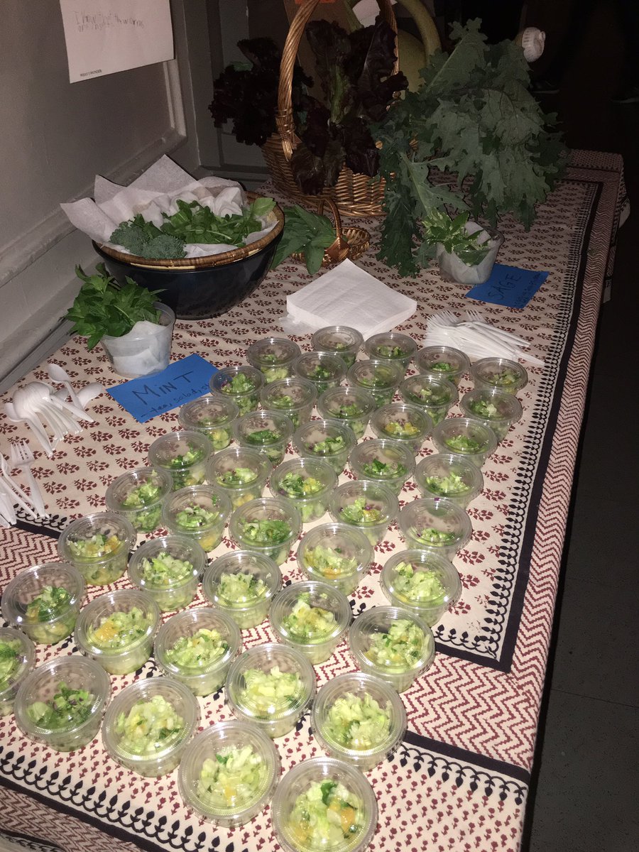 FDConline's tweet photo. From #farmtotable #fresh #healthy #salads grown here at #afterschool at #PS152 @NYCYouth @JumaaneWilliams https://t.co/IACxpxZnf9