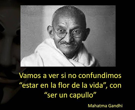 Cabronazi's tweet photo. (By Sheila Vazquez) https://t.co/2xl2hxxZEX