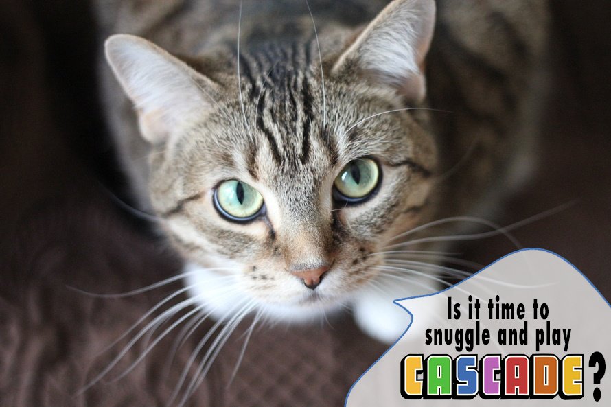 CascadeGame's tweet image. Mr. Mittens wants you to take a snuggle break. #game
