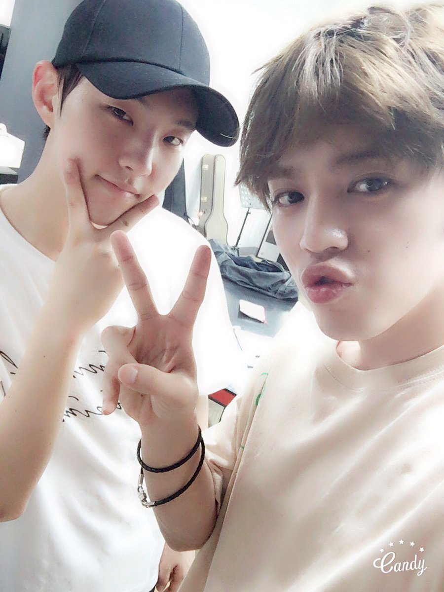 세븐틴(SEVENTEEN) tweet media