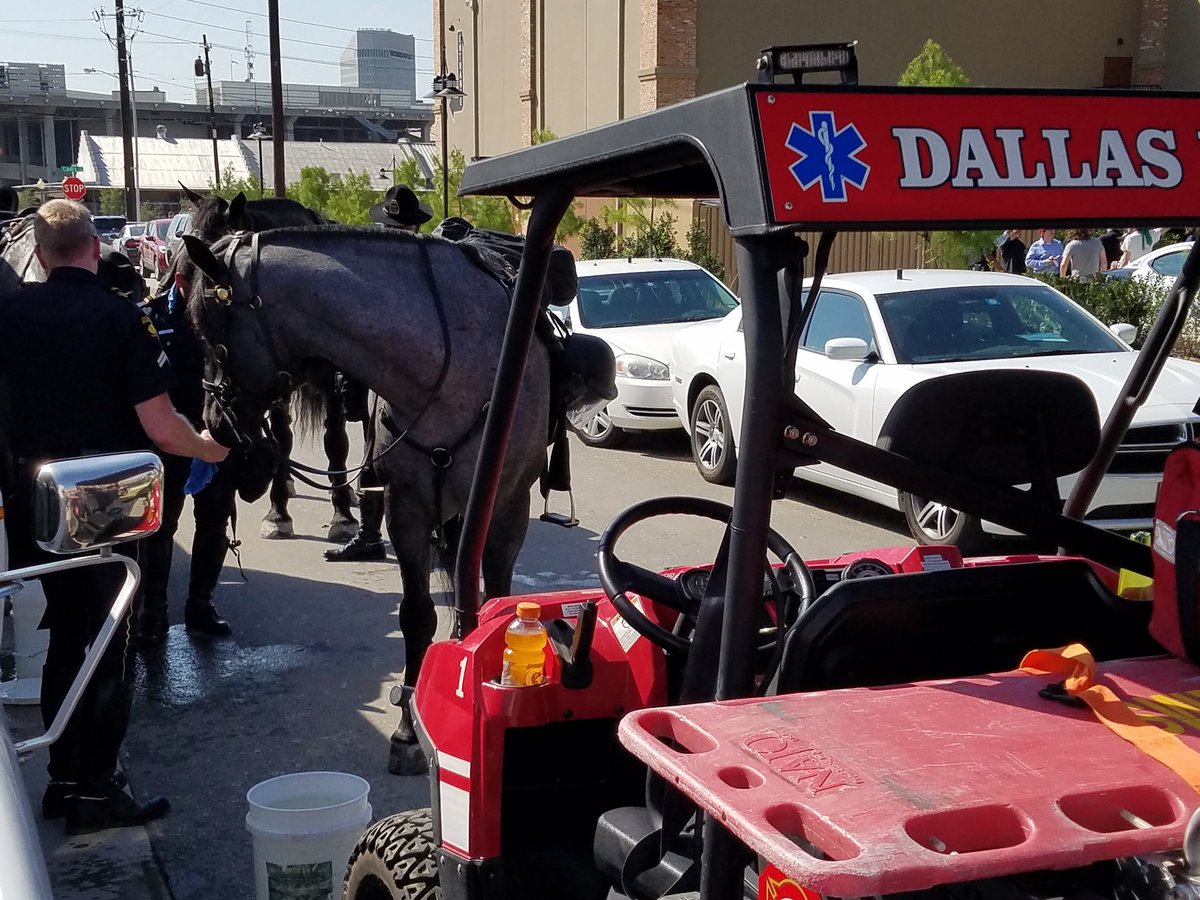 DallasFireRes_q's tweet photo. @DallasFireRes_q keeping EVERYONE cool at the #TrumpRally #DFREMS #DallasPDMounted https://t.co/qQeWrgMZQ0