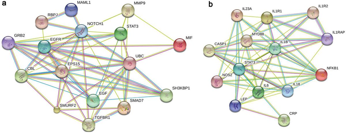 Labiotech_eu's tweet image. New Biomarkers could make Personalized Medicine for #Depression @KingsCollegeLon ow.ly/OFUT301eBEV
