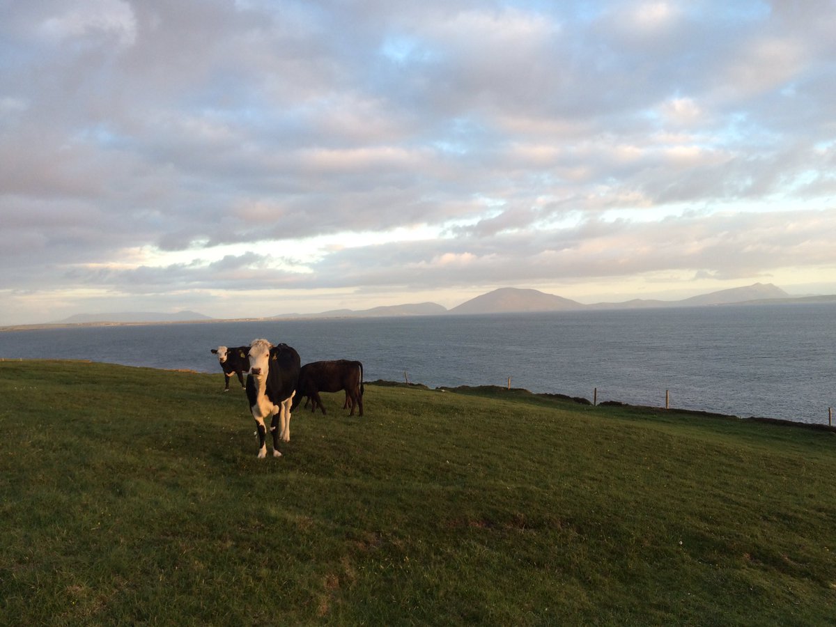 Belmullet CGS tweet media