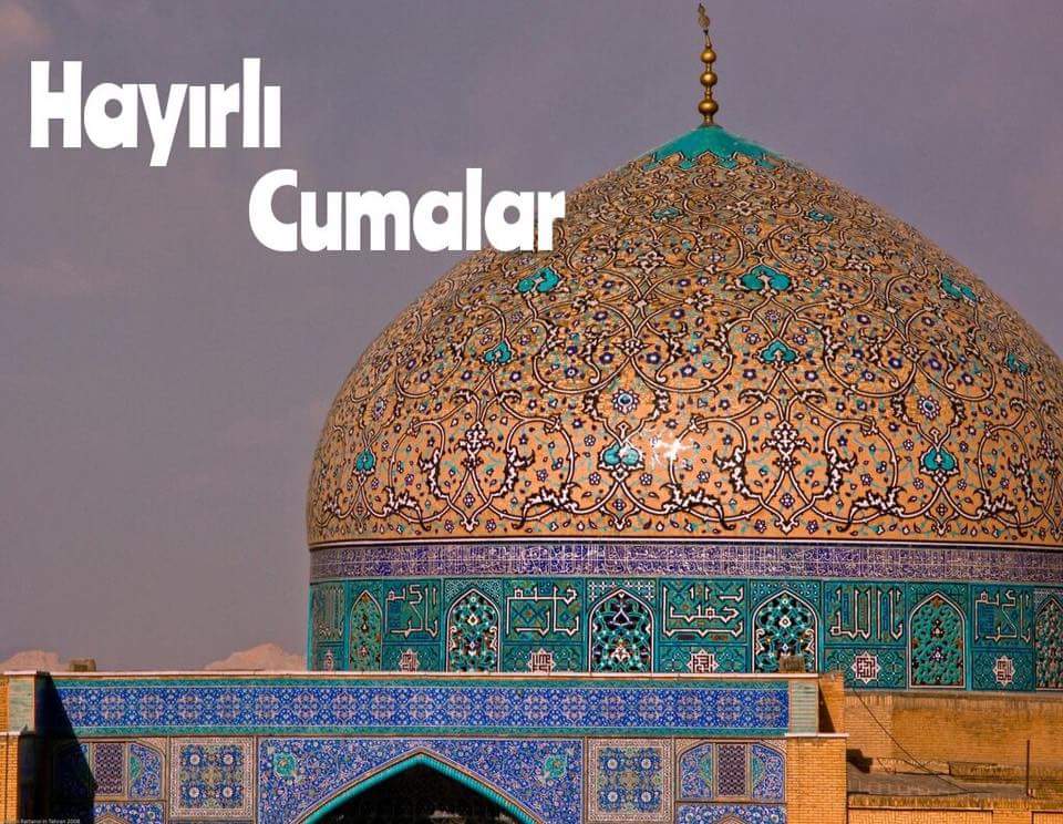 Alyssa Oswald (alyssaoswalddd) Twitter