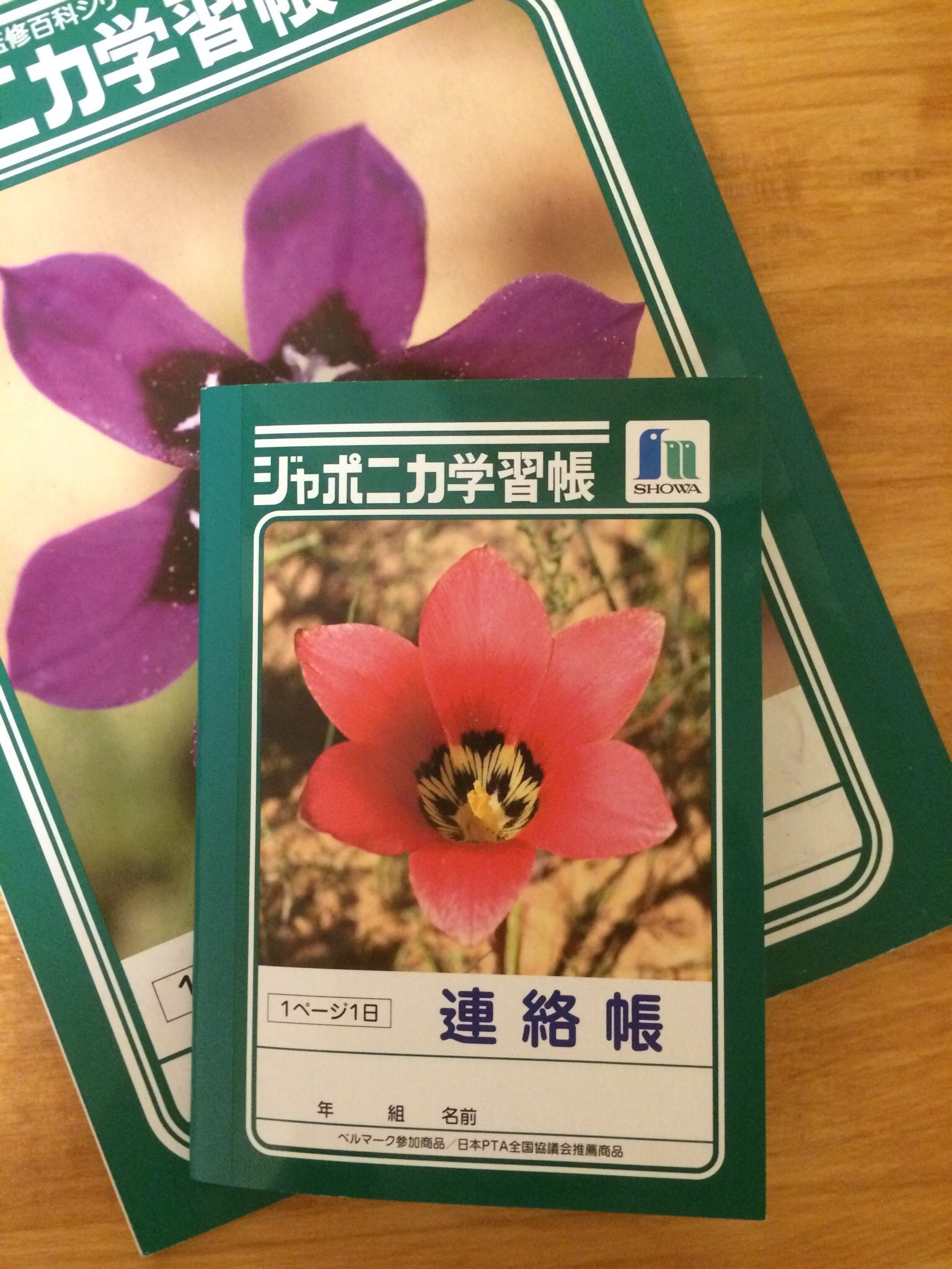 小学生版 連絡帳の工夫 Twitter Search Twitter