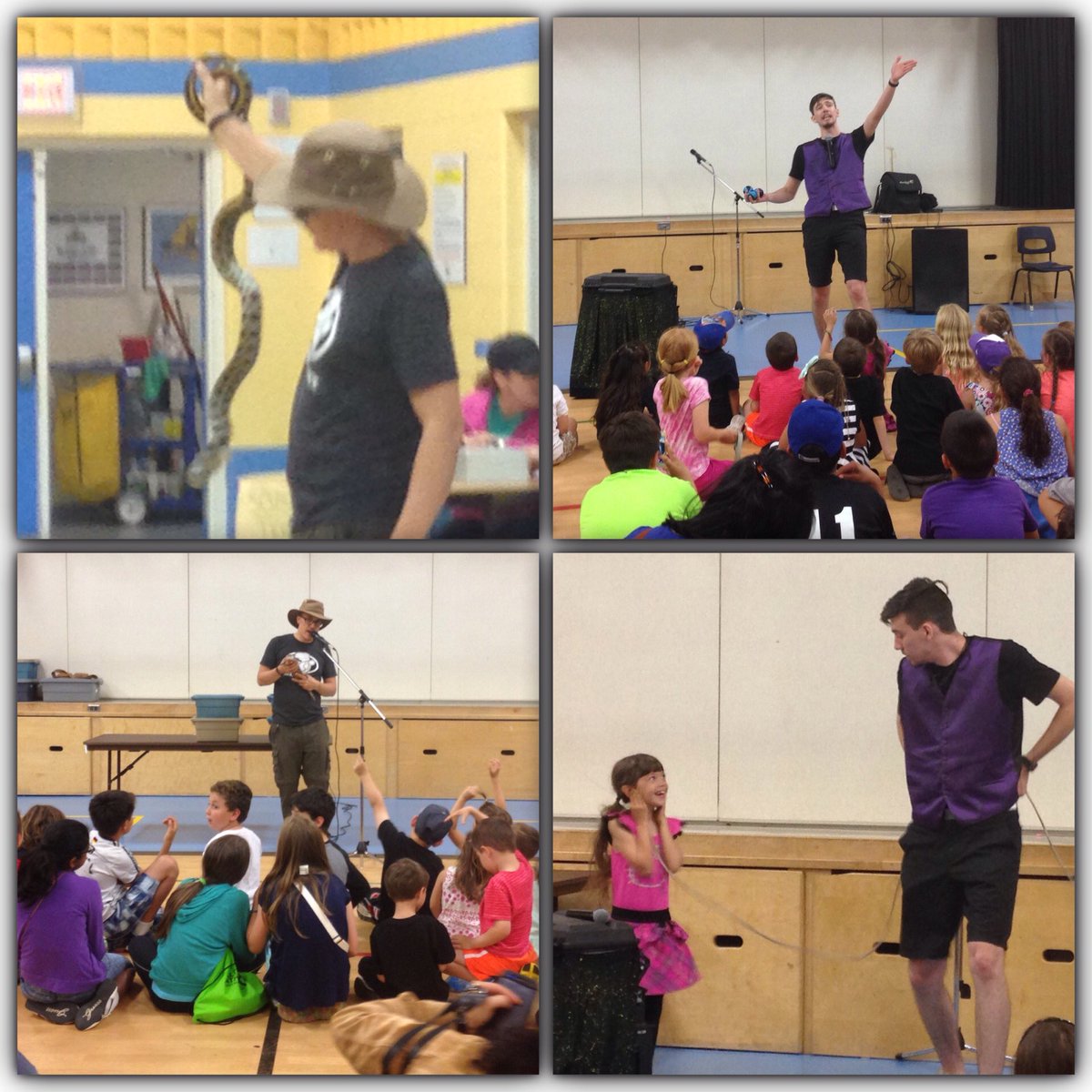 GaileMMurrell's tweet photo. Amazing night @sjoa5 #FamilyFunKnight TY to #SafariScience & #Presswood for the entertainment! Students loved it! https://t.co/vENj45kqdB