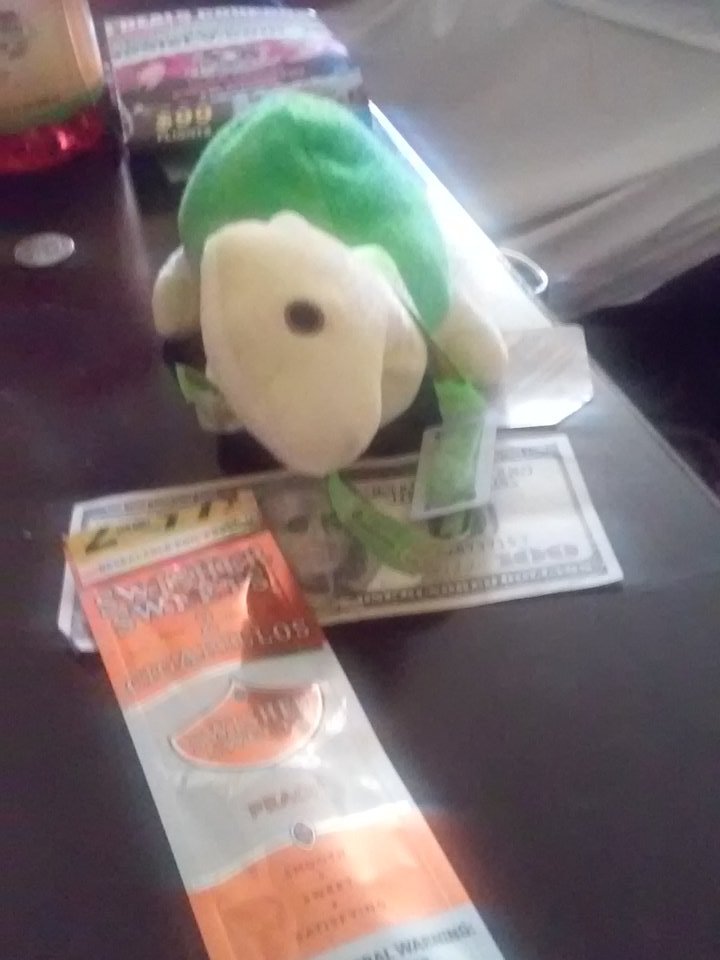 YoungWalt89's tweet image. #FranklinTheTurtle got his EDC bracelet