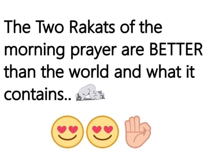 tahashaikh888's tweet photo. #bysh@k https://t.co/ve9QQeKjsR