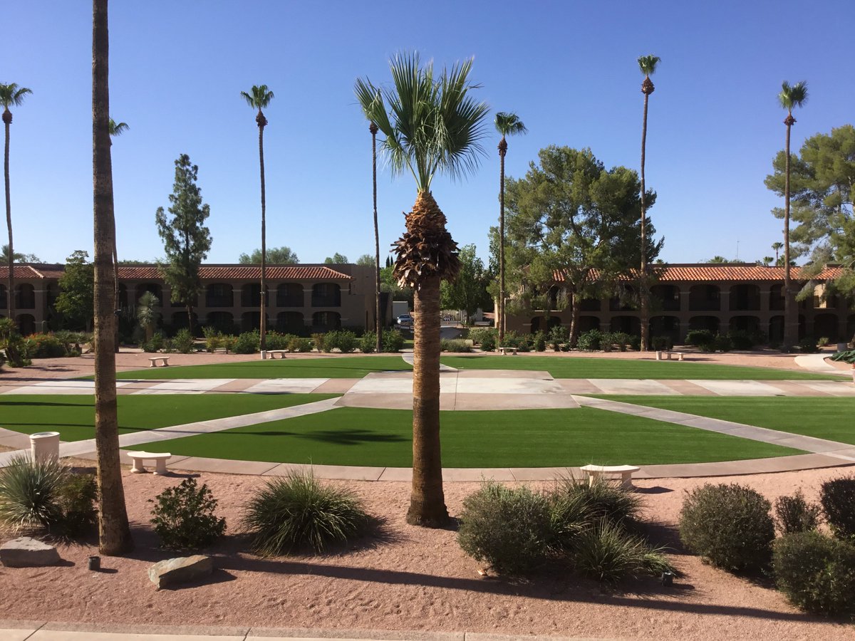 CelebrityGreens's tweet image. Just finished 7000 SF install of #ArtificialTurf! @scottsdaleplaza Resort! #striped #looksreal #youwouldneverknow