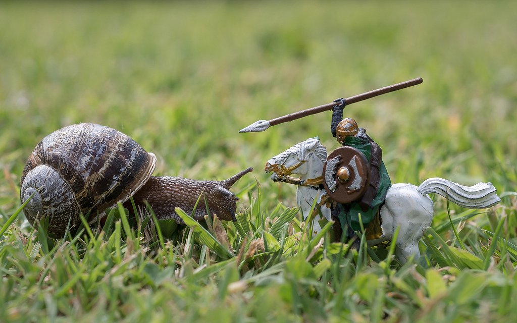 LiamBarrettEsq's tweet photo. This is SPARTA! https://t.co/jwhYvDcLmk