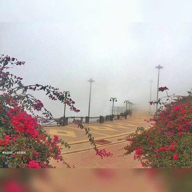 حنا ربينا في مرابي هل الطيب 
    اللي تميزهم وصوف وعلامه
  وان كان لبيوت المعزه معازيب
    حنا معازيب الوفا والكرامة