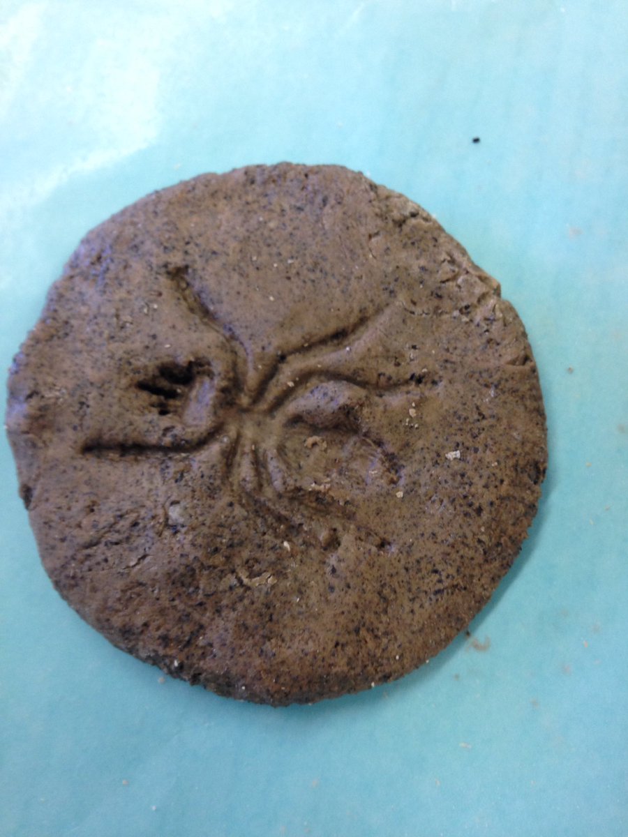 StemAndRoots's tweet photo. Entomologists are closely examining the body parts of insects by making an insect fossil! #InsectInvestigation #PBL https://t.co/N6P07uB3qe