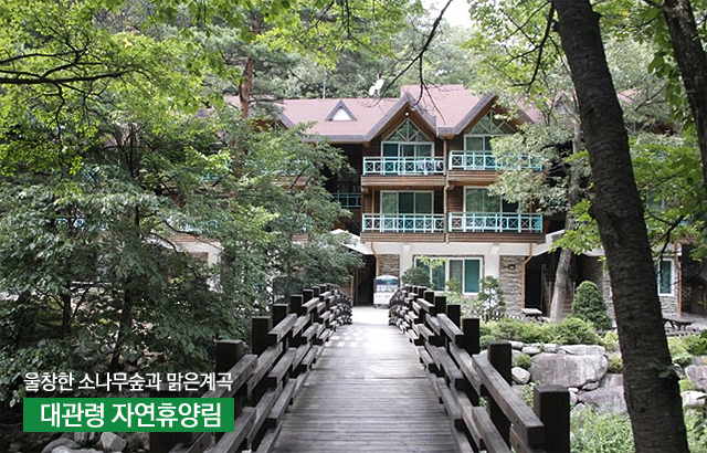forest_news's tweet photo. <우리나라 최초의 자연휴양림은?> 1988년 조성된 #대관령자연휴양림 울창한 소나무숲과 맑은계곡이 어우러진 대관령기슭에 위치, 색다른 체험을 수 있는 곳! 자세히▶https://t.co/vrugckG5H2 https://t.co/SUtbIQUCLO