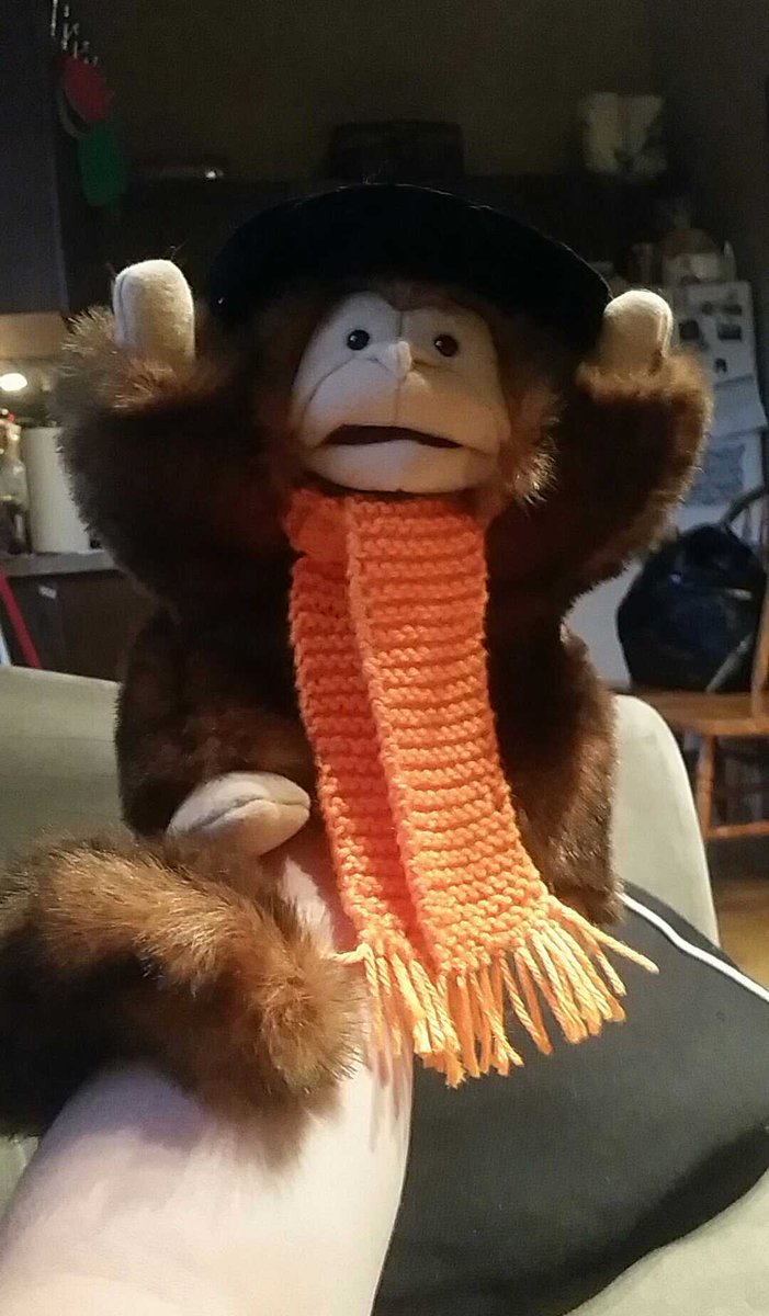 dawnmallette37's tweet photo. This is my monkey familiar Marmalade! She's awesome! #D&amp;D https://t.co/ltCV1kBKoh