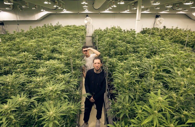 BigGigantic's tweet photo. Yo @HIGH_TIMES_Mag #CannabisCup we 👀 u! Sat night 8-9:30pm let's doooo it 🌿 https://t.co/FiJQEfrPYa