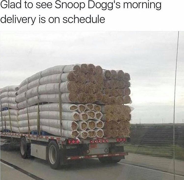 Weed Pics™ tweet media