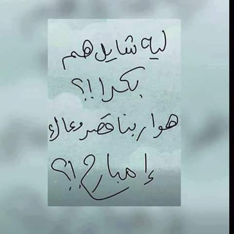 مودى الشقى المؤدب (@8razm9dzo3j8wpe) on Twitter photo 