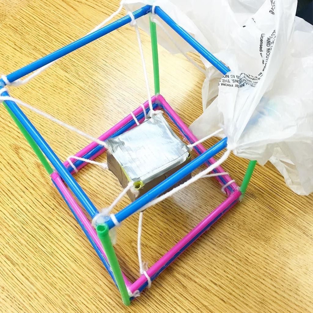Egg Drop Project With Straws