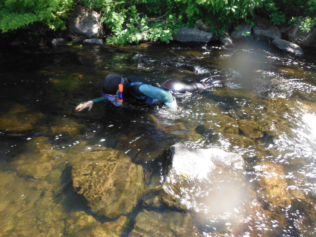 manuchretien's tweet photo. During training, I compared visual sampling to horizontal rock climbing. They got it. #fieldwork #fishwork https://t.co/tE8UUPyZb5