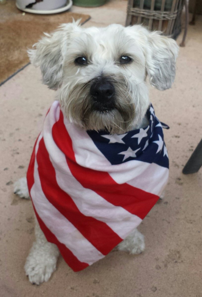 TheOGBeermonger's tweet photo. @fu_corleone @ussoccer USA!!!!! https://t.co/mcqYpVE9Yg