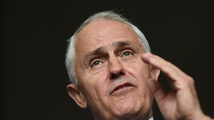 SBS News tweet media