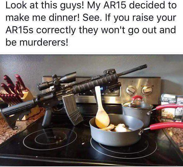 warnerthuston's tweet photo. Everyone loves a story about a good domesticated firearm... https://t.co/HtgW0mBX4g