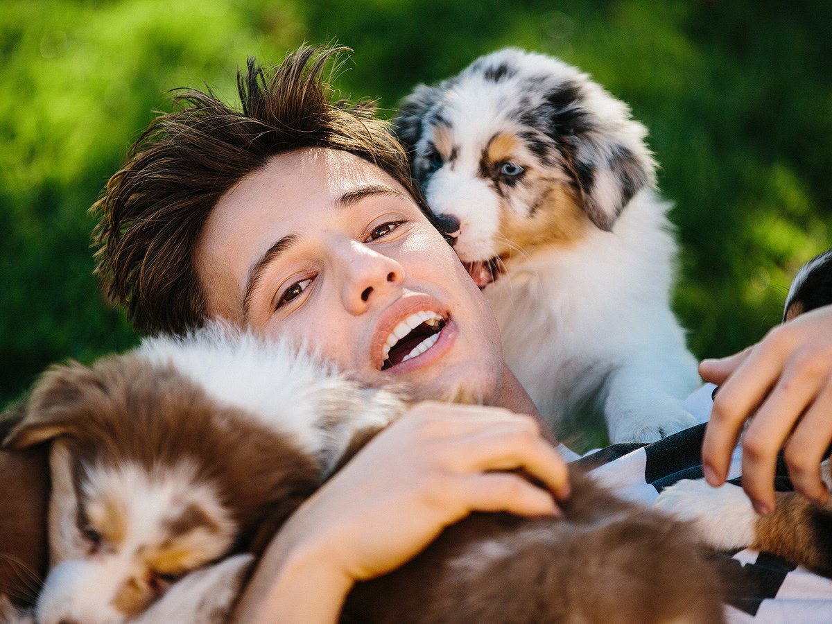 MAGCONUpdates's tweet image. UNSEEN HQ photos of Cameron Dallas from a recent photoshoot. Photos taken by @nathanielwood. (2/4)