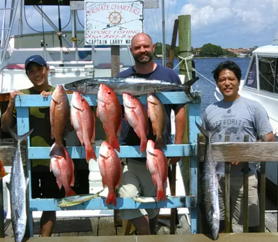 CaptainLarryM's tweet photo. #redsnapper
#blacksnapper
#repeatcustomer https://t.co/Ftxs2L1U37