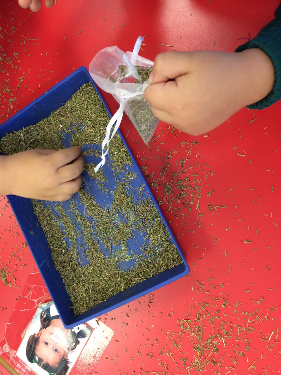 Transplantamos nuestra planta de tomillo en bolsas individuales #nursery #hierbasaromáticas <a href="/HBSTORREJON/">Humanitas Torrejón</a>