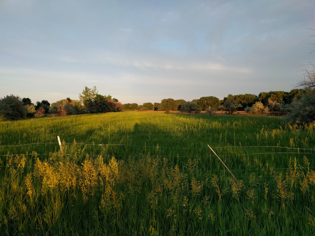 BoulderAleTrail's tweet photo. Beautiful final sunlight on the way back from @VindicationBrew last week https://t.co/zsdKFSKZvu