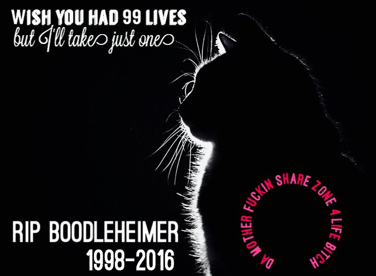 MISSING YOU REAL HARD WITH ALL THIS FUCKED UP SHIT IN THE WORLD GOING ON