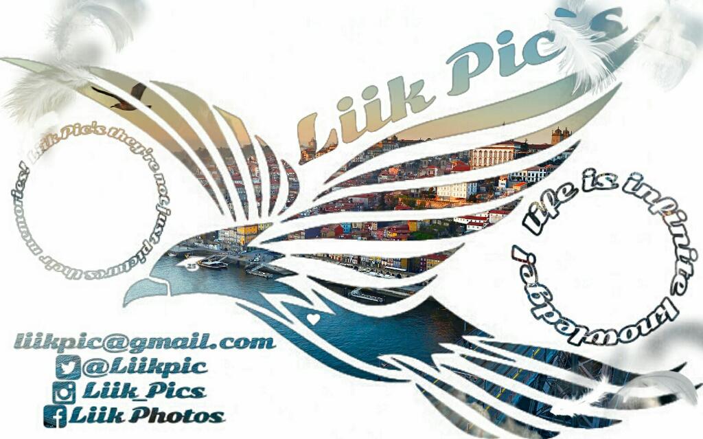LiiKpic's tweet photo. liikpic@gmail.com 
https://t.co/UkuGSIESTW
https://t.co/4avWbwWSNu
https://t.co/wedTUaXCwo https://t.co/NR42JULdXC