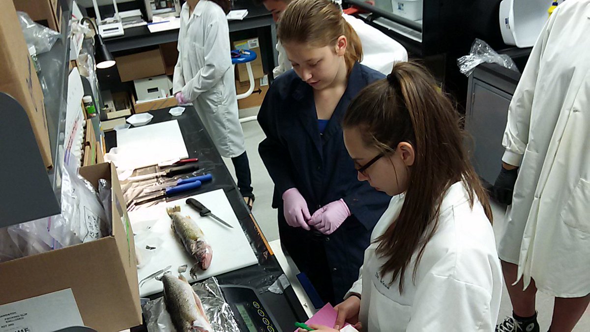 tecvoccls's tweet image. Good folks at UofM CEOS labs teaching us how &amp;amp; what to dissect from Walleye for Hg testing. #tecvoc #CanLightSource
