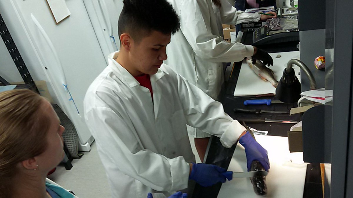 tecvoccls's tweet image. Good folks at UofM CEOS labs teaching us how &amp;amp; what to dissect from Walleye for Hg testing. #tecvoc #CanLightSource