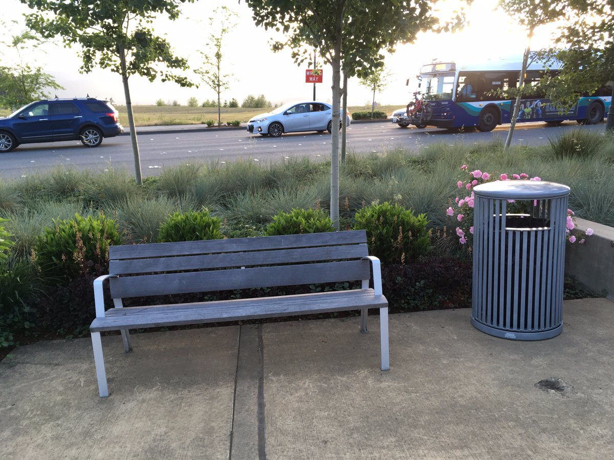 benchesofissy's tweet image. Hang out in the center of a stream of cars. South point of the island between the directions of Highlands Drive.