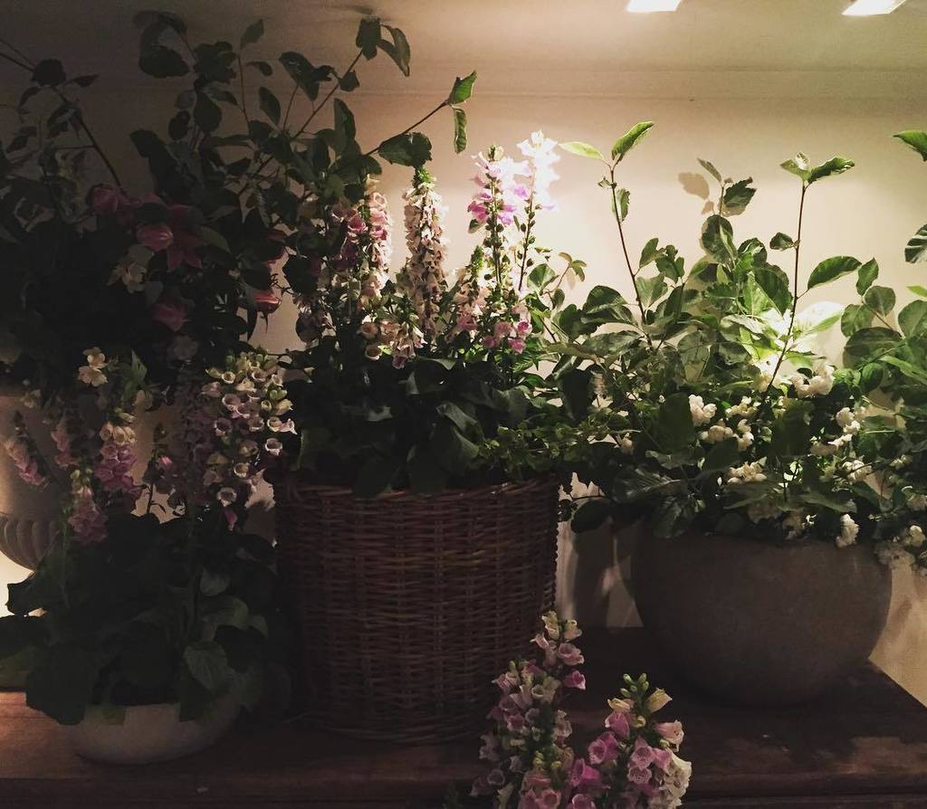 Ottoman_st's tweet photo. Wild and beautiful display at Pear and Ginger in Soho. #flowers #wildflowers #floristry #c… https://t.co/PlyFYfyLF3 https://t.co/9KSPSFye7f