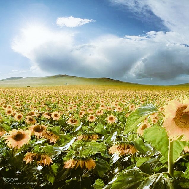 وفي يوم الجمعة🌻🍃اللّهم اجعلنا ممن عفوت عنهم ورضيت عنهم وغفرت لهم ..وحرّمت عليهم النار
 وكتبت لهم الجنّة🌻🍃جمعه مباركه