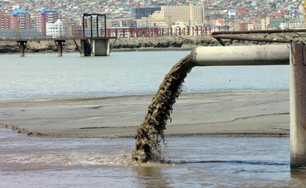 #БаримтЭСН Туул голын бохирдол аюулын түвшинд байна Зарим газраа хүлцэх хэмжээнээс 20-50 дахин ихэссэн