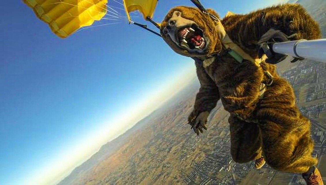 Action_Mounts's tweet photo. Fly bear 🐻 #GoPro #lifestye #skydive #sky #jump #selfie #actionmounts https://t.co/p8BmHrUaSW