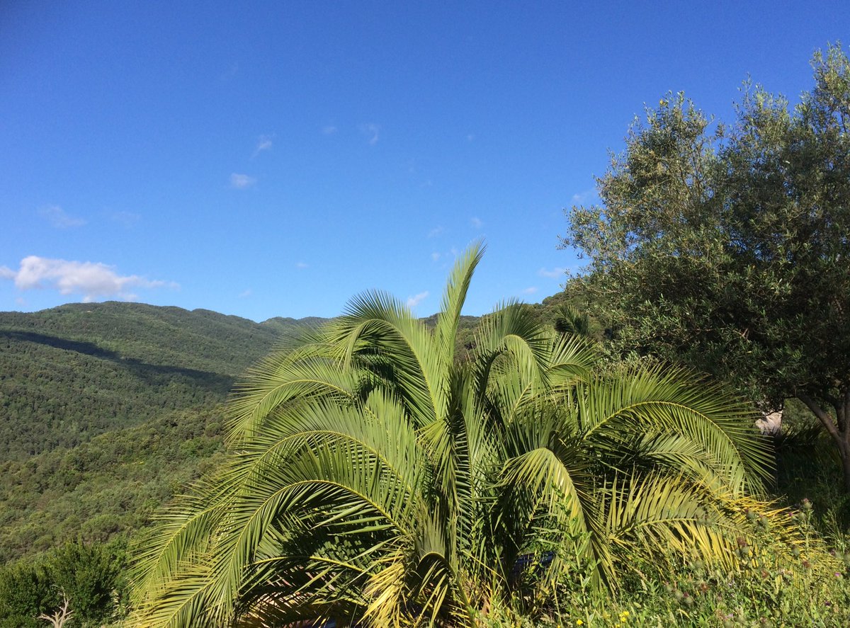 Ester de Vos tweet media