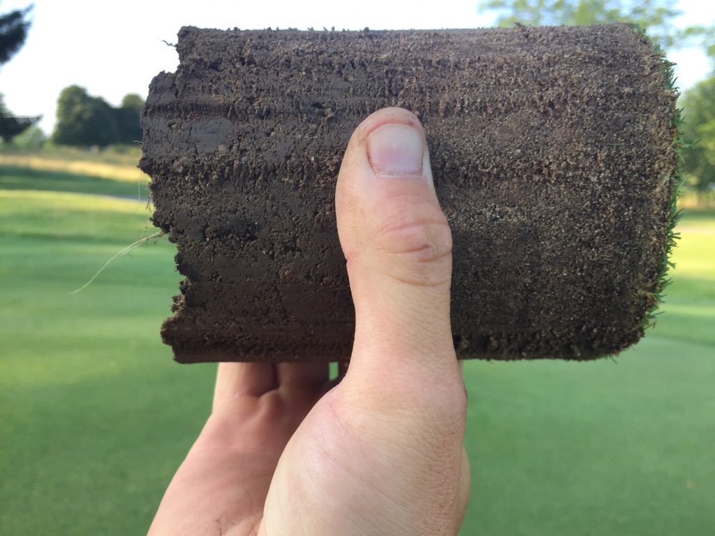 bucksturfphil's tweet image. #whydoweaerify #rootdepth