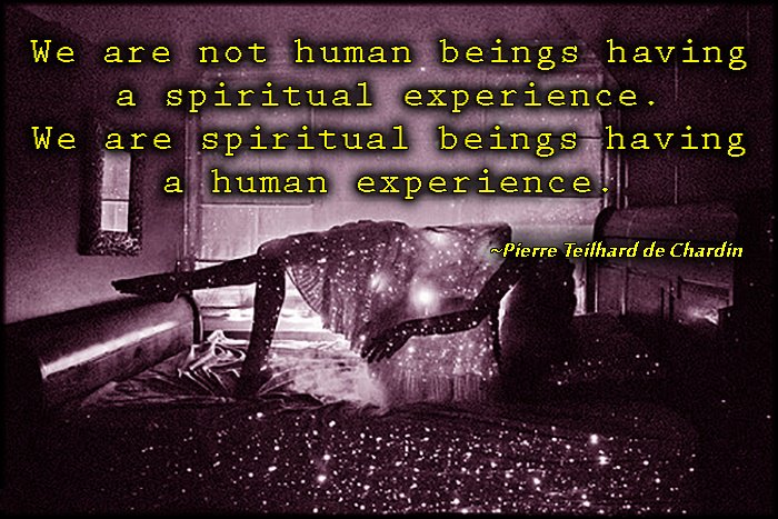 BarcodeCreator's tweet image. "We are not #humanbeings having a #spiritual experience. We are spiritual beings having a #human experience."