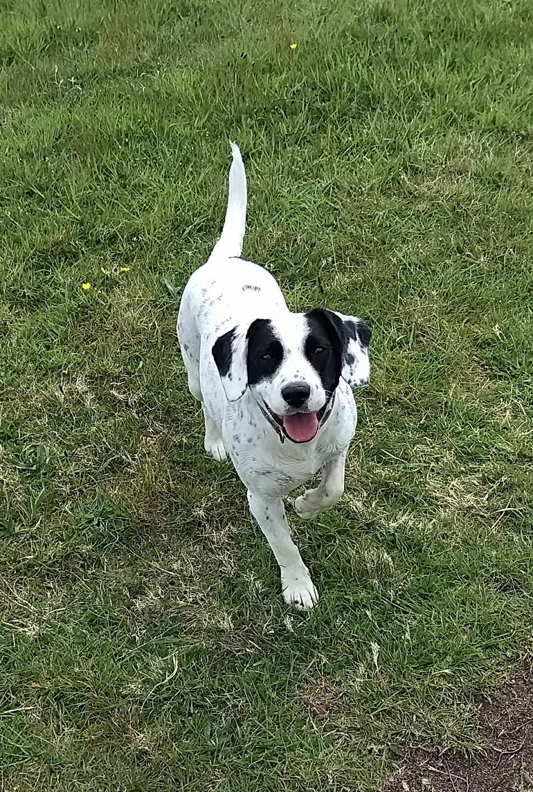 View image on Twitter