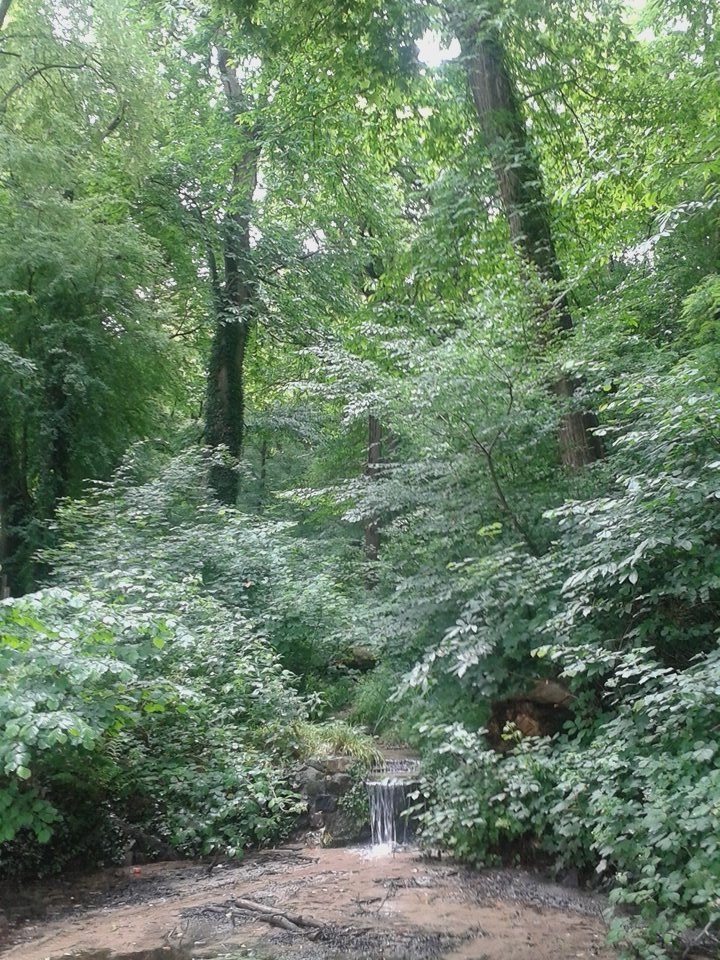 HHengeveld's tweet photo. Kastanjedal heerlijkheid Beek https://t.co/xS2GNpgYbr