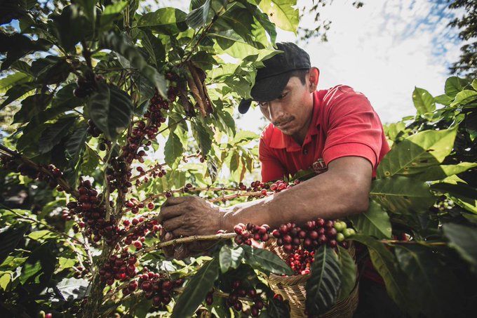 Ver imagen en Twitter