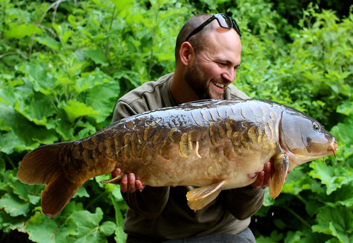 A lovely scaley birthday present from last week. #stickybaits #gardnertackle #wofte