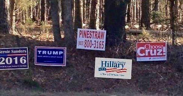 JanieGouge's tweet photo. A new presidential candidate has emerged that I think all Americans can get behind! Let's all vote for Pinestraw! https://t.co/xYfdXuX9P9